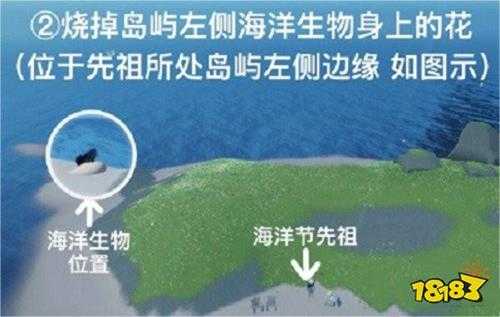 光遇海洋节任务清理圣岛被污染的漩涡流程 清理圣岛图文攻略